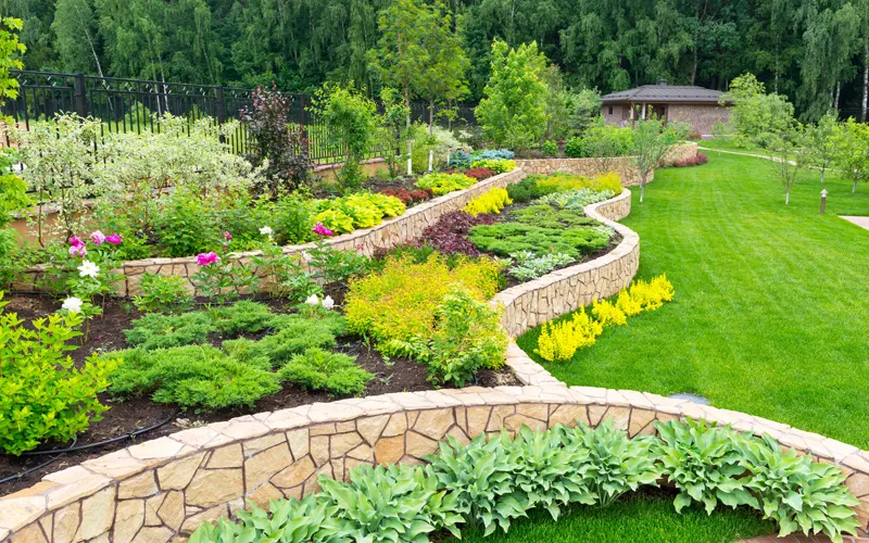 Landscape Designing